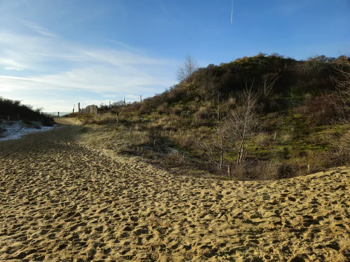 Oostnieuwkerke duinen wandeling in de koude (België)